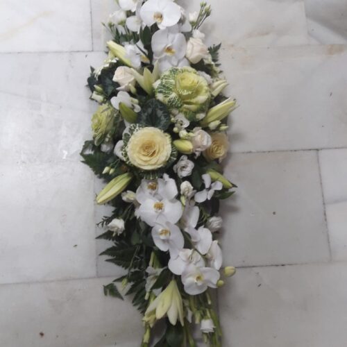 Img 20231119 Wa0103.jpg