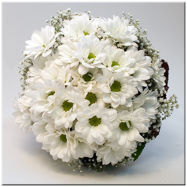 Ramonovias5 1.jpg